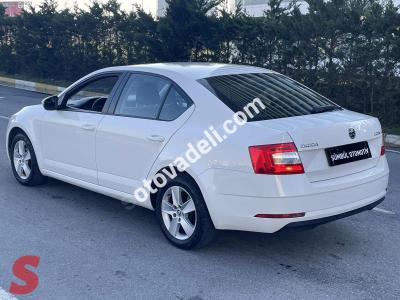Skoda Octavia 2019 1.6 TDI Optimal